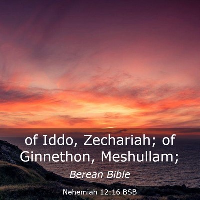 Picture 03 - Nehemiah 12:16 BSB - of Iddo, Zechariah; of Ginnethon, - Bible Verse Picture