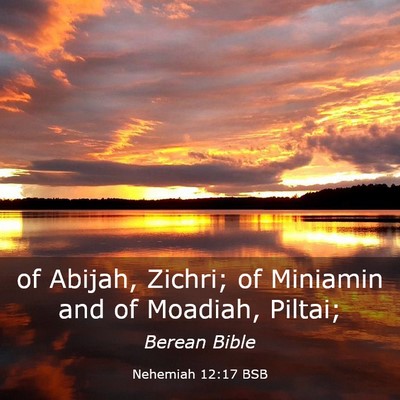 Picture 03 - Nehemiah 12:17 BSB - of Abijah, Zichri; of Miniamin and of Moadiah, - Bible Verse Picture