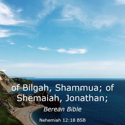 Picture 03 - Nehemiah 12:18 BSB - of Bilgah, Shammua; of Shemaiah, - Bible Verse Picture