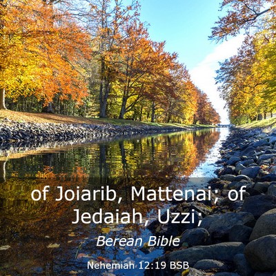 Picture 03 - Nehemiah 12:19 BSB - of Joiarib, Mattenai; of Jedaiah, - Bible Verse Picture