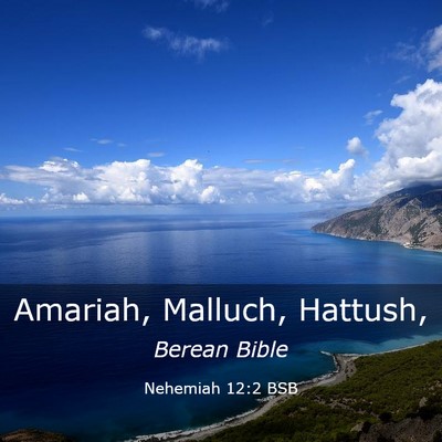 Picture 03 - Nehemiah 12:2 BSB - Amariah, Malluch, - Bible Verse Picture