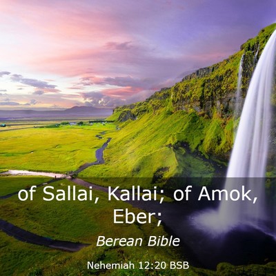 Picture 03 - Nehemiah 12:20 BSB - of Sallai, Kallai; of Amok, - Bible Verse Picture