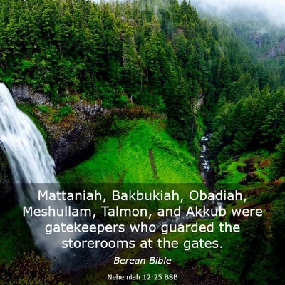 Picture 03 - Nehemiah 12:25 BSB - Mattaniah, Bakbukiah, Obadiah, Meshullam, Talmon, - Bible Verse Picture