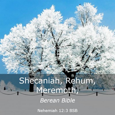 Picture 03 - Nehemiah 12:3 BSB - Shecaniah, Rehum, - Bible Verse Picture