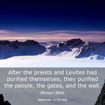Picture 03 - Nehemiah 12:30 BSB - After the priests and Levites had purified - Bible Verse Picture