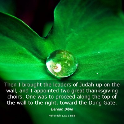 Picture 03 - Nehemiah 12:31 BSB - Then I brought the leaders of Judah up on the - Bible Verse Picture