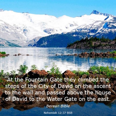 Picture 03 - Nehemiah 12:37 BSB - At the Fountain Gate they climbed the steps of - Bible Verse Picture