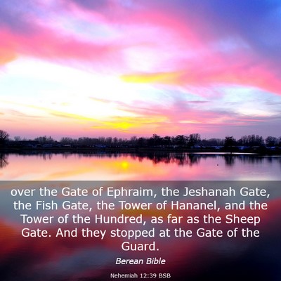 Picture 03 - Nehemiah 12:39 BSB - over the Gate of Ephraim, the Jeshanah Gate, the - Bible Verse Picture