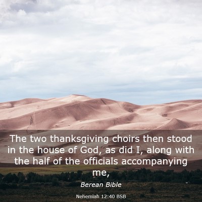 Picture 03 - Nehemiah 12:40 BSB - The two thanksgiving choirs then stood in the - Bible Verse Picture