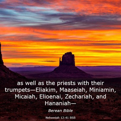 Picture 03 - Nehemiah 12:41 BSB - as well as the priests with their - Bible Verse Picture