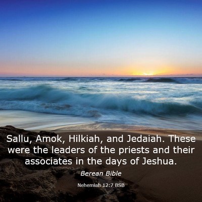 Picture 03 - Nehemiah 12:7 BSB - Sallu, Amok, Hilkiah, and Jedaiah. These were the - Bible Verse Picture