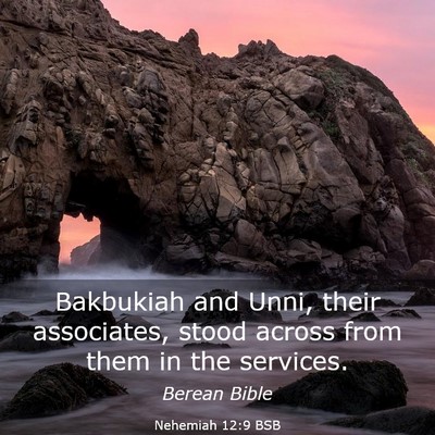 Picture 03 - Nehemiah 12:9 BSB - Bakbukiah and Unni, their associates, stood - Bible Verse Picture