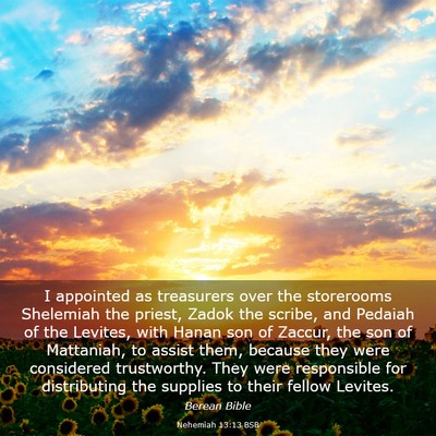 Picture 03 - Nehemiah 13:13 BSB - I appointed as treasurers over the storerooms - Bible Verse Picture