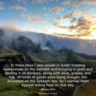 Picture 03 - Nehemiah 13:15 BSB - In those days I saw people in Judah treading - Bible Verse Picture