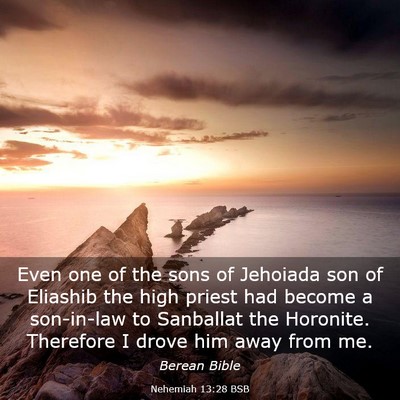 Picture 03 - Nehemiah 13:28 BSB - Even one of the sons of Jehoiada son of Eliashib - Bible Verse Picture