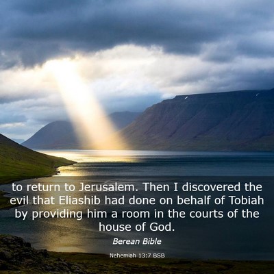 Picture 03 - Nehemiah 13:7 BSB - to return to Jerusalem. Then I discovered the - Bible Verse Picture