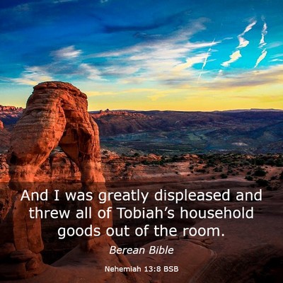 Picture 03 - Nehemiah 13:8 BSB - And I was greatly displeased and threw all of - Bible Verse Picture