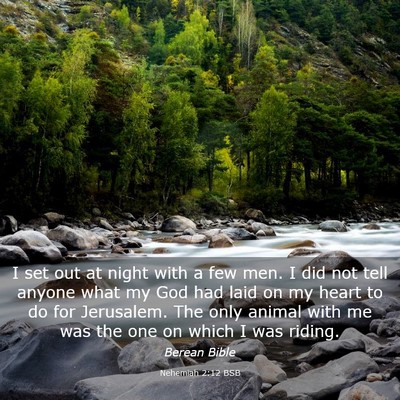 Picture 03 - Nehemiah 2:12 BSB - I set out at night with a few men. I did not tell - Bible Verse Picture