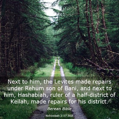 Picture 03 - Nehemiah 3:17 BSB - Next to him, the Levites made repairs under Rehum - Bible Verse Picture