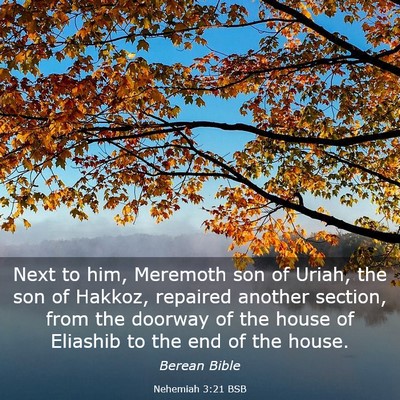 Picture 03 - Nehemiah 3:21 BSB - Next to him, Meremoth son of Uriah, the son of - Bible Verse Picture