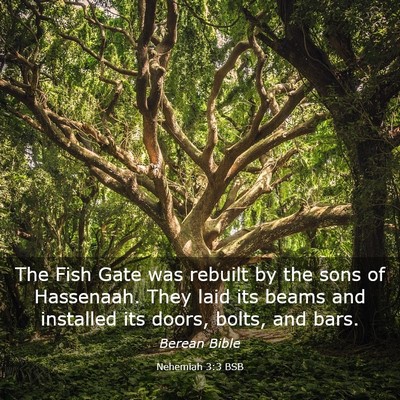 Picture 03 - Nehemiah 3:3 BSB - The Fish Gate was rebuilt by the sons of - Bible Verse Picture