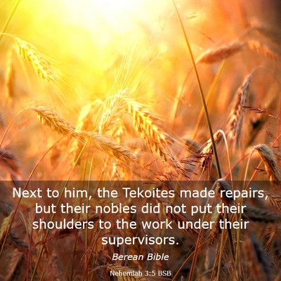 Picture 03 - Nehemiah 3:5 BSB - Next to him, the Tekoites made repairs, but their - Bible Verse Picture