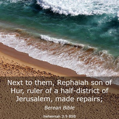 Picture 03 - Nehemiah 3:9 BSB - Next to them, Rephaiah son of Hur, ruler of a - Bible Verse Picture