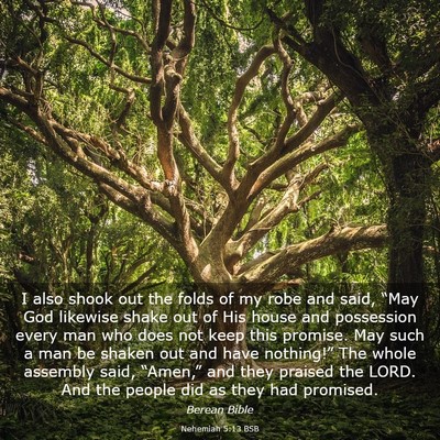 Picture 03 - Nehemiah 5:13 BSB - I also shook out the folds of my robe and said, - Bible Verse Picture