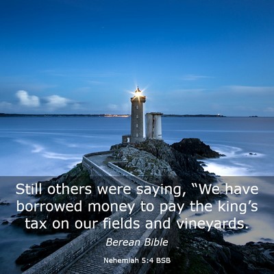Picture 03 - Nehemiah 5:4 BSB - Still others were saying, “We have borrowed - Bible Verse Picture