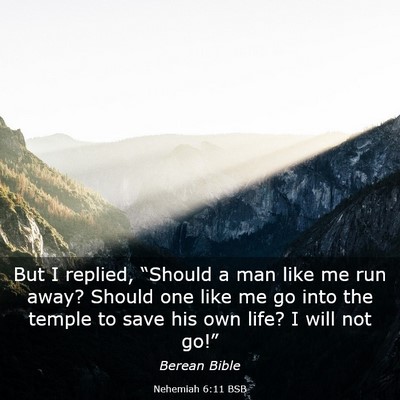 Picture 03 - Nehemiah 6:11 BSB - But I replied, “Should a man like me run away? - Bible Verse Picture