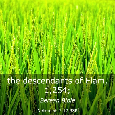 Picture 03 - Nehemiah 7:12 BSB - the descendants of Elam, - Bible Verse Picture