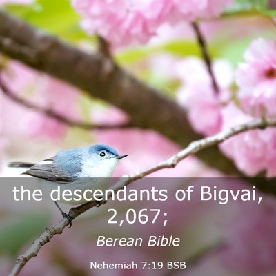 Picture 03 - Nehemiah 7:19 BSB - the descendants of Bigvai, - Bible Verse Picture