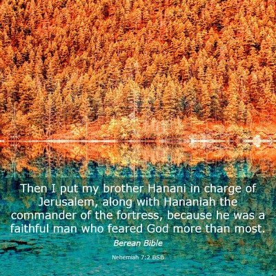 Picture 03 - Nehemiah 7:2 BSB - Then I put my brother Hanani in charge of - Bible Verse Picture