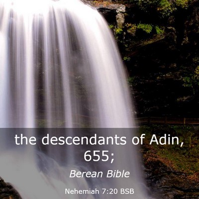 Picture 03 - Nehemiah 7:20 BSB - the descendants of Adin, - Bible Verse Picture