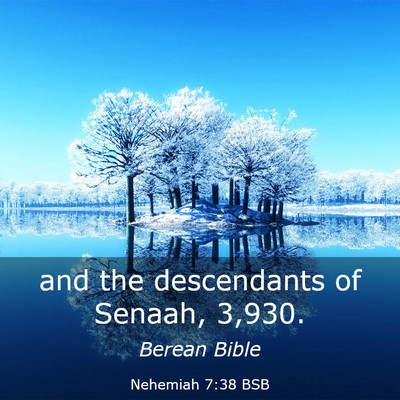 Picture 03 - Nehemiah 7:38 BSB - and the descendants of Senaah, - Bible Verse Picture