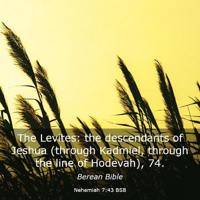 Picture 03 - Nehemiah 7:43 BSB - The Levites: the descendants of Jeshua (through - Bible Verse Picture