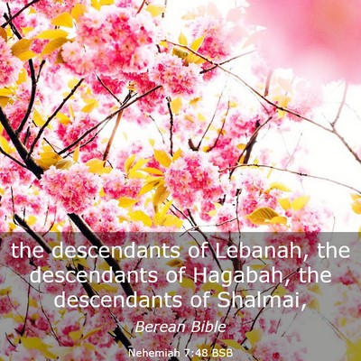 Picture 03 - Nehemiah 7:48 BSB - the descendants of Lebanah, the descendants of - Bible Verse Picture