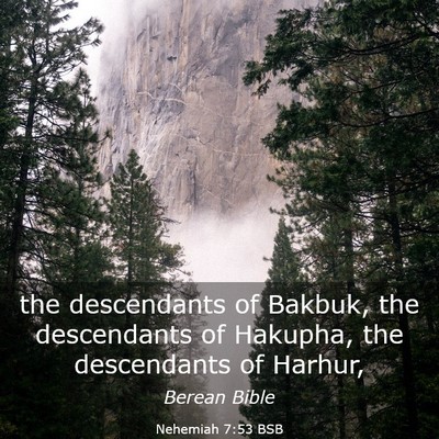 Picture 03 - Nehemiah 7:53 BSB - the descendants of Bakbuk, the descendants of - Bible Verse Picture