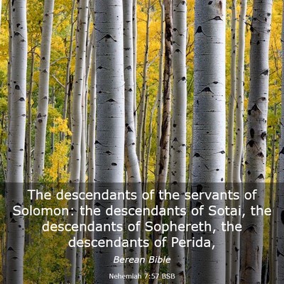 Picture 03 - Nehemiah 7:57 BSB - The descendants of the servants of Solomon: the - Bible Verse Picture