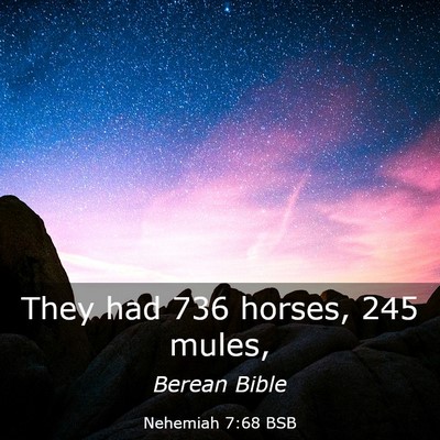 Picture 03 - Nehemiah 7:68 BSB - They had 736 horses, 245 - Bible Verse Picture