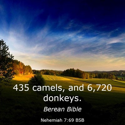 Picture 03 - Nehemiah 7:69 BSB - 435 camels, and 6,720 - Bible Verse Picture