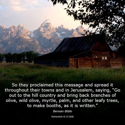 Picture 03 - Nehemiah 8:15 BSB - So they proclaimed this message and spread it - Bible Verse Picture