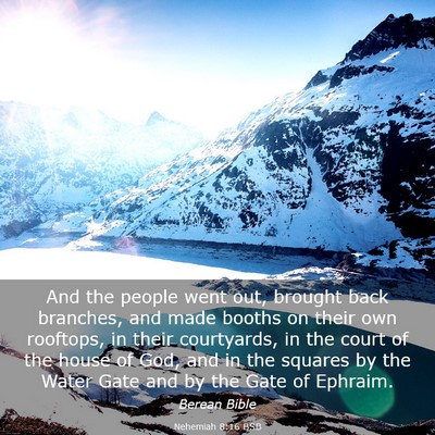 Picture 03 - Nehemiah 8:16 BSB - And the people went out, brought back branches, - Bible Verse Picture