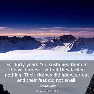 Picture 03 - Nehemiah 9:21 BSB - For forty years You sustained them in the - Bible Verse Picture