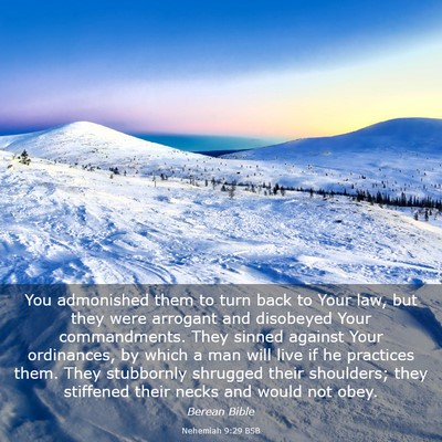 Picture 03 - Nehemiah 9:29 BSB - You admonished them to turn back to Your law, but - Bible Verse Picture