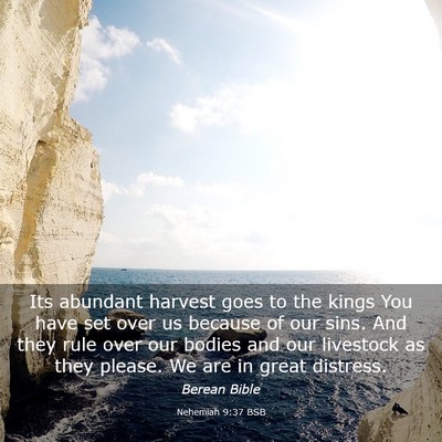 Picture 03 - Nehemiah 9:37 BSB - Its abundant harvest goes to the kings You have - Bible Verse Picture