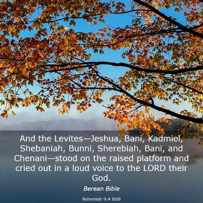 Picture 03 - Nehemiah 9:4 BSB - And the Levites—Jeshua, Bani, Kadmiel, - Bible Verse Picture