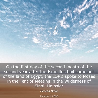 Picture 03 - Numbers 1:1 BSB - On the first day of the second month of the - Bible Verse Picture