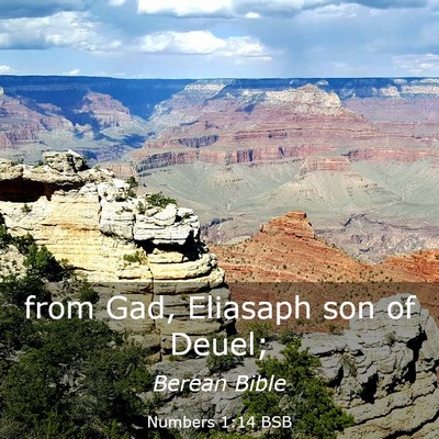 Picture 03 - Numbers 1:14 BSB - from Gad, Eliasaph son of - Bible Verse Picture