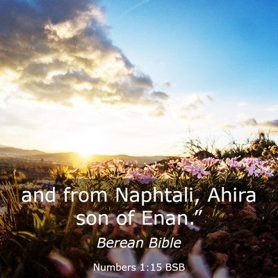 Picture 03 - Numbers 1:15 BSB - and from Naphtali, Ahira son of - Bible Verse Picture